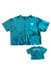 Load image into Gallery viewer, Smokey the Bear